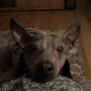 Meet your Posher, Danica